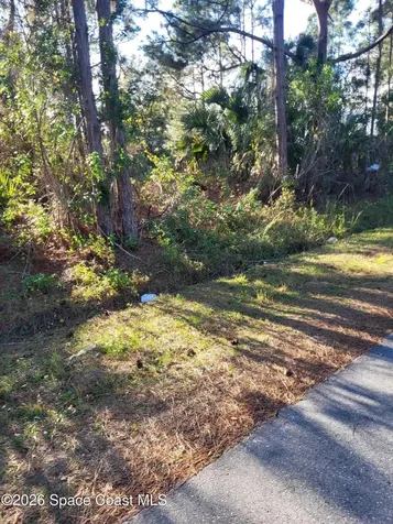2682 Tennyson Avenue SE Palm Bay FL 32909