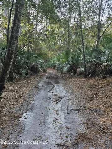 0000 Wood Duck Drive Mims FL 32754