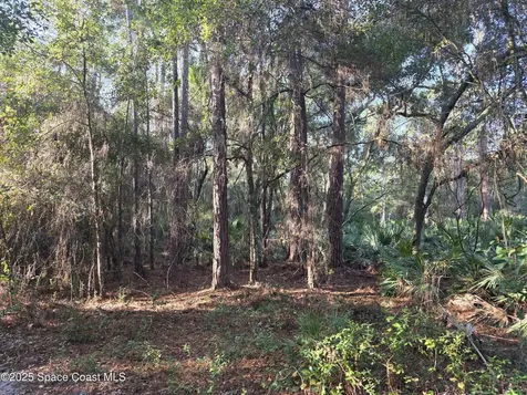 0000 Wood Duck Drive Mims FL 32754