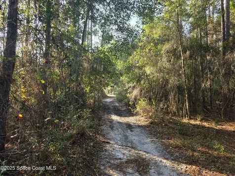0000 Wood Duck Drive Mims FL 32754