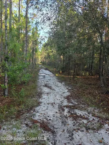 0000 Wood Duck Drive Mims FL 32754