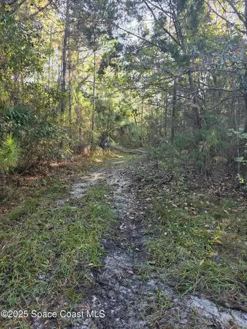 0000 Wood Duck Drive Mims FL 32754