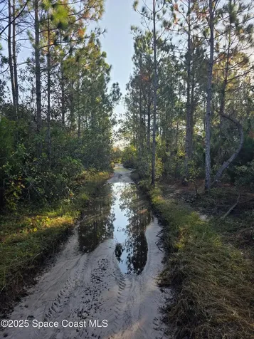 0000 Wood Duck Drive Mims FL 32754
