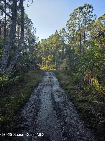 0000 Wood Duck Drive Mims FL 32754