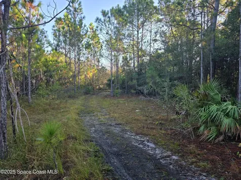0000 Wood Duck Drive Mims FL 32754
