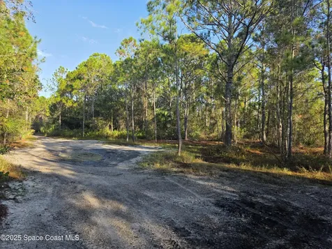 0000 Wood Duck Drive Mims FL 32754