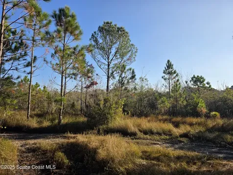 0000 Wood Duck Drive Mims FL 32754