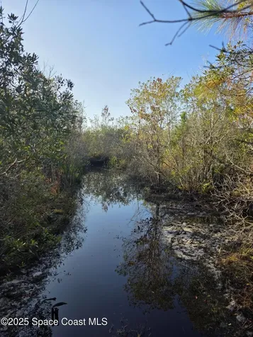 0000 Wood Duck Drive Mims FL 32754