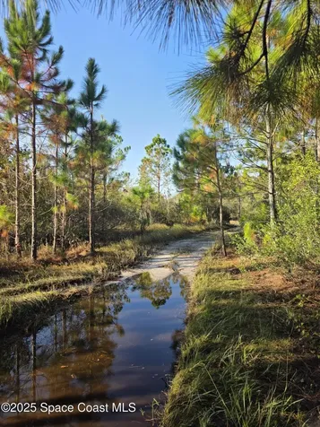 0000 Wood Duck Drive Mims FL 32754