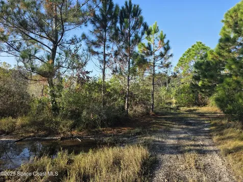 0000 Wood Duck Drive Mims FL 32754