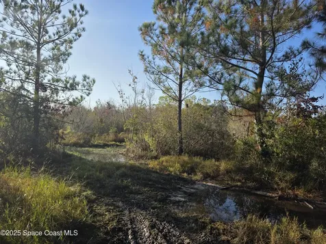 0000 Wood Duck Drive Mims FL 32754
