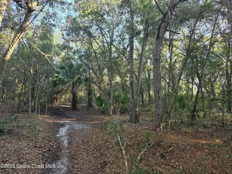 0000 Wood Duck Drive Mims FL 32754