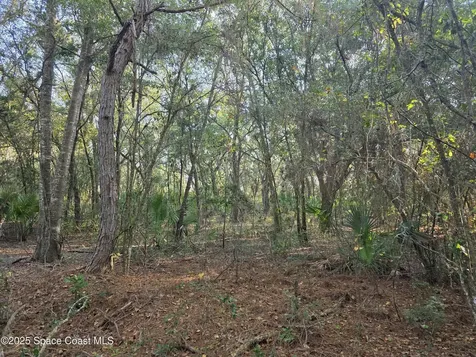 0000 Wood Duck Drive Mims FL 32754
