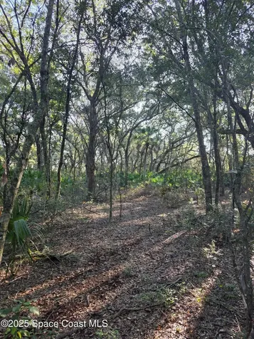 0000 Wood Duck Drive Mims FL 32754