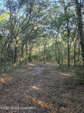 0000 Wood Duck Drive Mims FL 32754