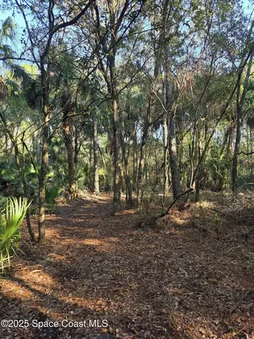 0000 Wood Duck Drive Mims FL 32754