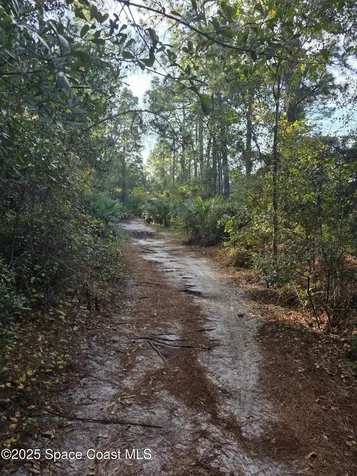 0000 Wood Duck Drive Mims FL 32754