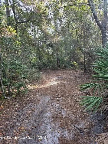 0000 Wood Duck Drive Mims FL 32754