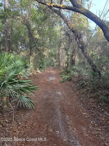 0000 Wood Duck Drive Mims FL 32754