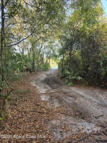 0000 Wood Duck Drive Mims FL 32754