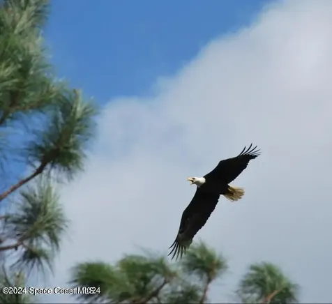 32801 Us Highway 441 N Okeechobee FL 34972