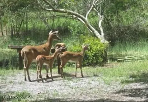 32801 Us Highway 441 N Okeechobee FL 34972
