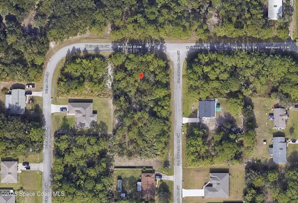216 San Servando Avenue SW Palm Bay FL 32908