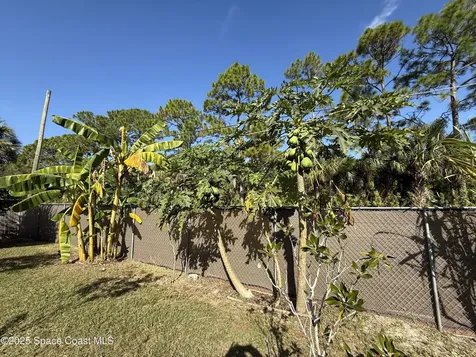 1683 Zaffer Street NW Palm Bay FL 32907