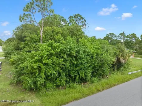 1461 Tidewell Street SE Palm Bay FL 32909