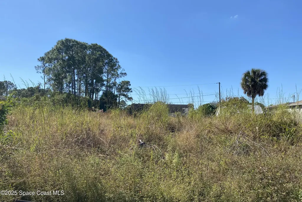 2612 Palmer Avenue SE Palm Bay FL 32909