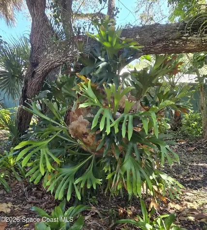 6545 Floridana Avenue Melbourne Beach FL 32951