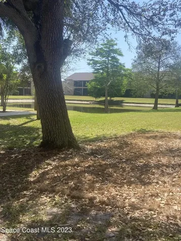 290 Spring Drive Merritt Island FL 32953