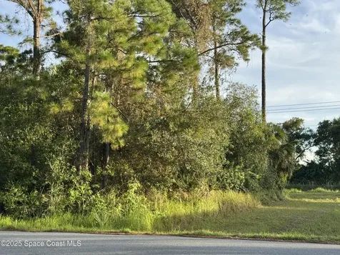 666 Henlock Street SE Palm Bay FL 32909