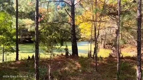 882 County Road 310 Interlachen FL 32148