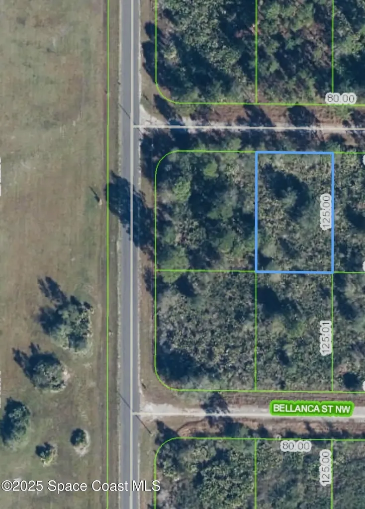 762 American Street NW Lake Placid FL 33852