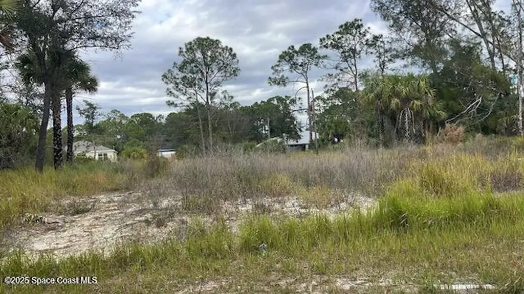 491 La Coco Street SW Palm Bay FL 32908