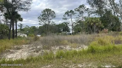 491 La Coco Street SW Palm Bay FL 32908