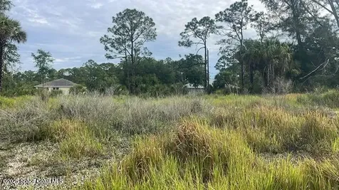 491 La Coco Street SW Palm Bay FL 32908