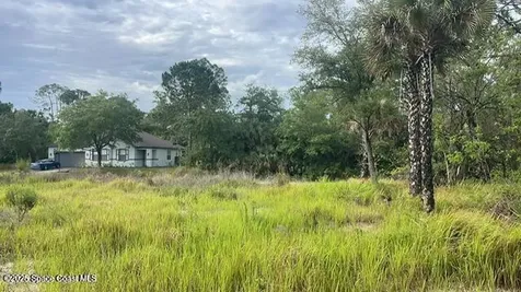 491 La Coco Street SW Palm Bay FL 32908