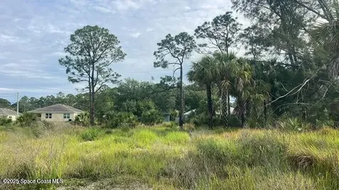 491 La Coco Street SW Palm Bay FL 32908