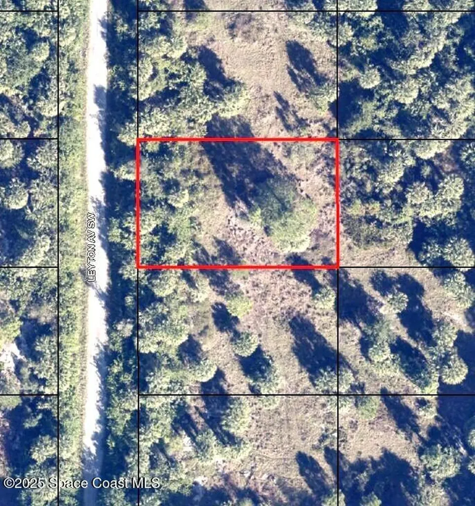 2653 Leyton Avenue SW Palm Bay FL 32908