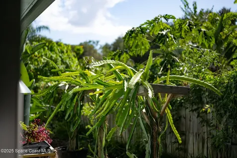 30 Bonaventure Drive Rockledge FL 32955