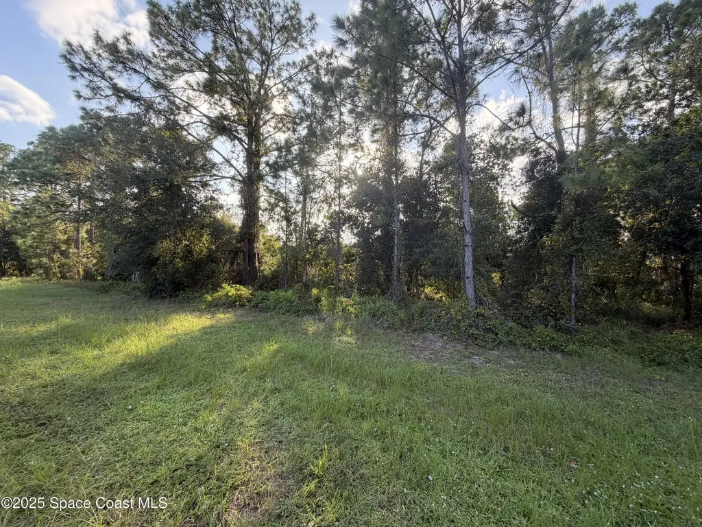 3900 Rambling Acres Drive Titusville FL 32796