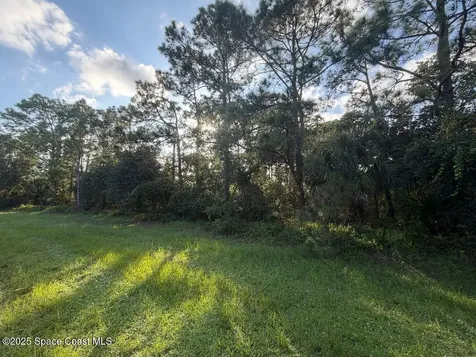 3900 Rambling Acres Drive Titusville FL 32796