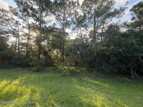 3900 Rambling Acres Drive Titusville FL 32796