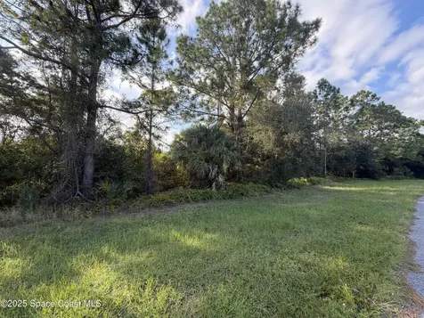 3900 Rambling Acres Drive Titusville FL 32796