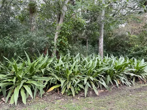 6555 S Tropical Trail Merritt Island FL 32952