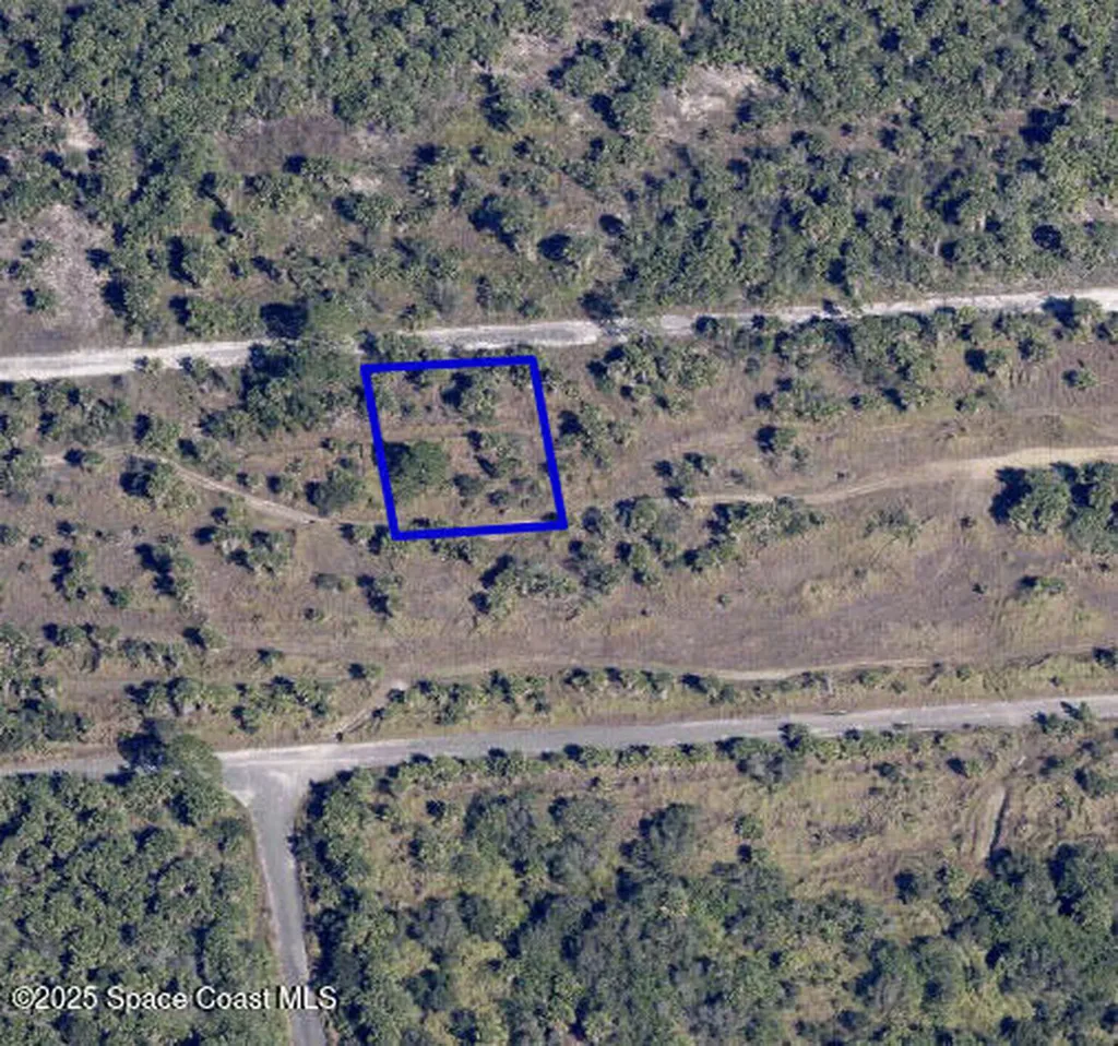 1032 Echinata Street SW Palm Bay FL 32908