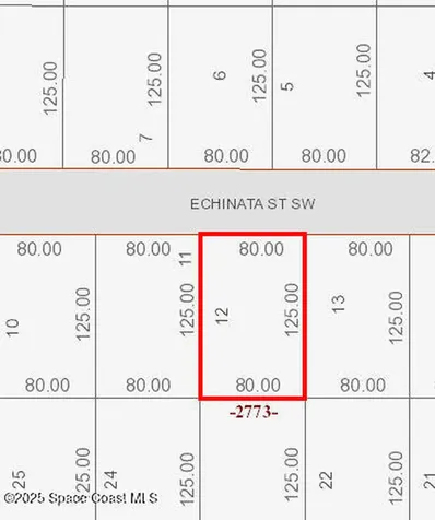 1032 Echinata Street SW Palm Bay FL 32908