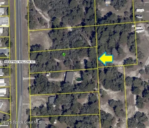 0 Weeping Willow Street Brooksville FL 34613